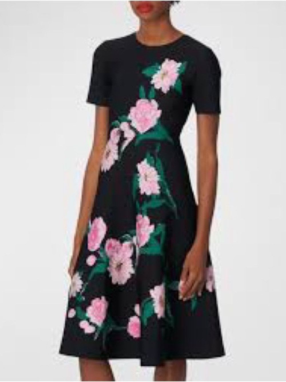 Carolina Herrera Black A-Line Dress with Pink Floral Print